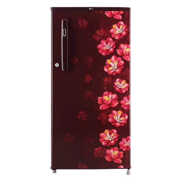 LG-DC-REF-GL-B199GSJB-185 LTR-1-STAR